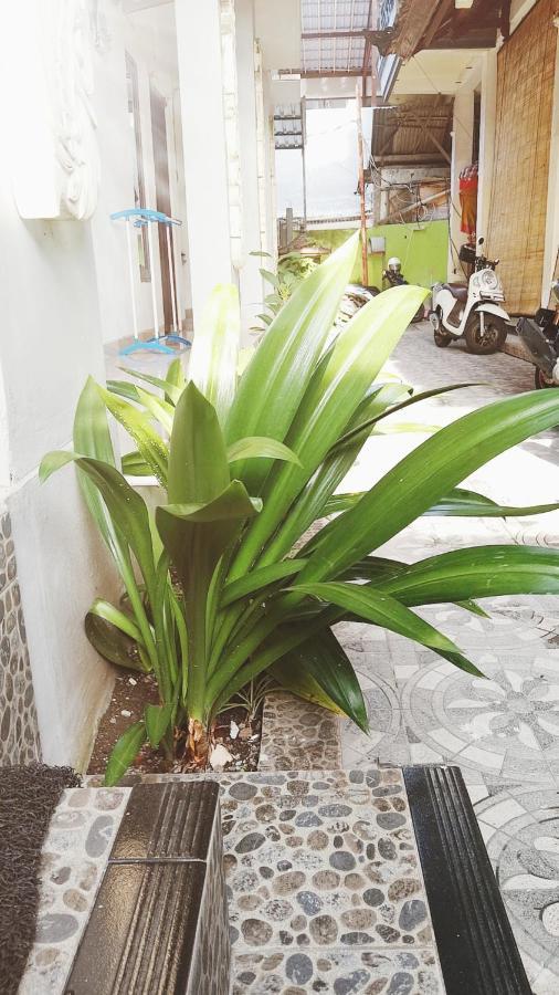 Bali Dd Homestay Seminyak Exterior photo